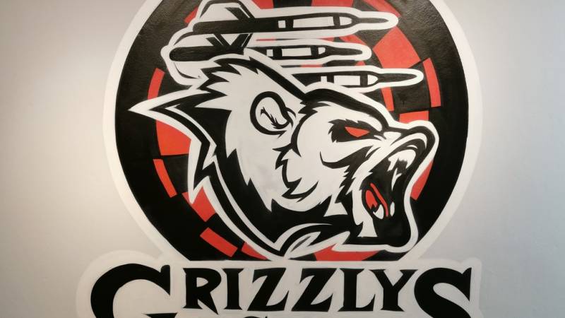 Renovierung der Dartanlage